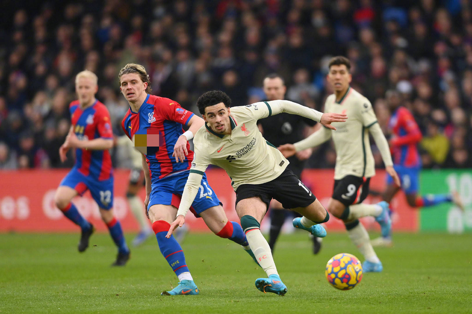 球迷们总是 球迷们总是